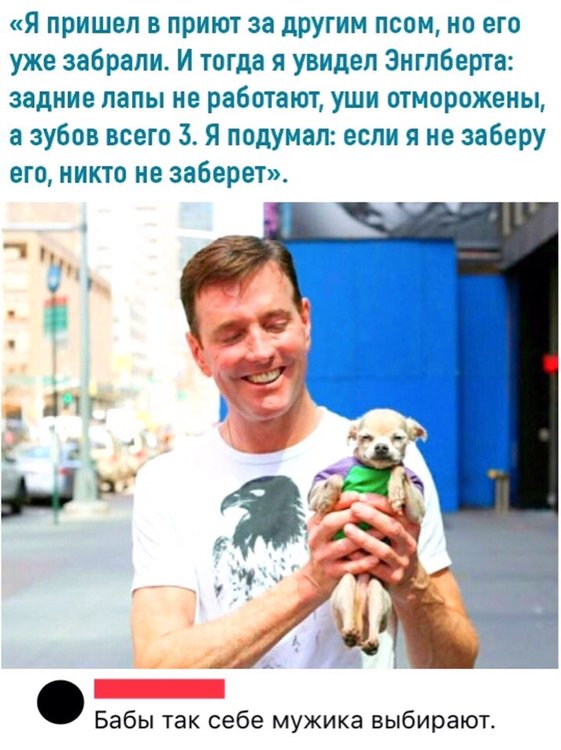 Не забираю тогда. Афоризмы про кирпич. Мужчина подобрал щенка. Изречения преподобного амвросия оптинского. Взяла кирпич улыбнулась и пошла.