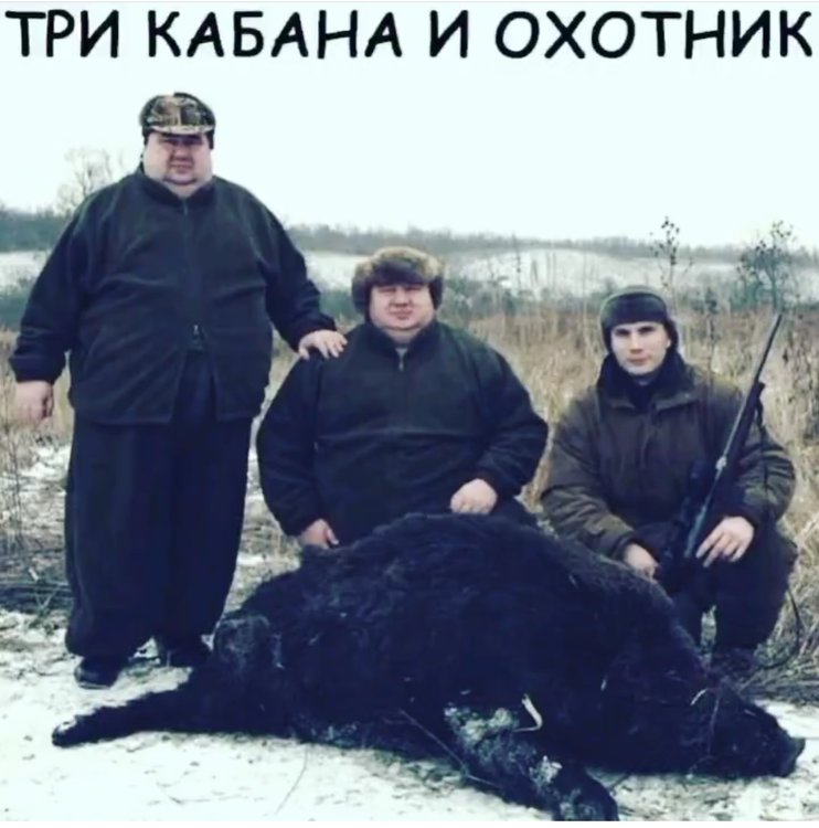 Кабан на белом фоне. Белый дикий кабан. Кормушка для диких кабанов. Он кабан а она. Он кабан а она.