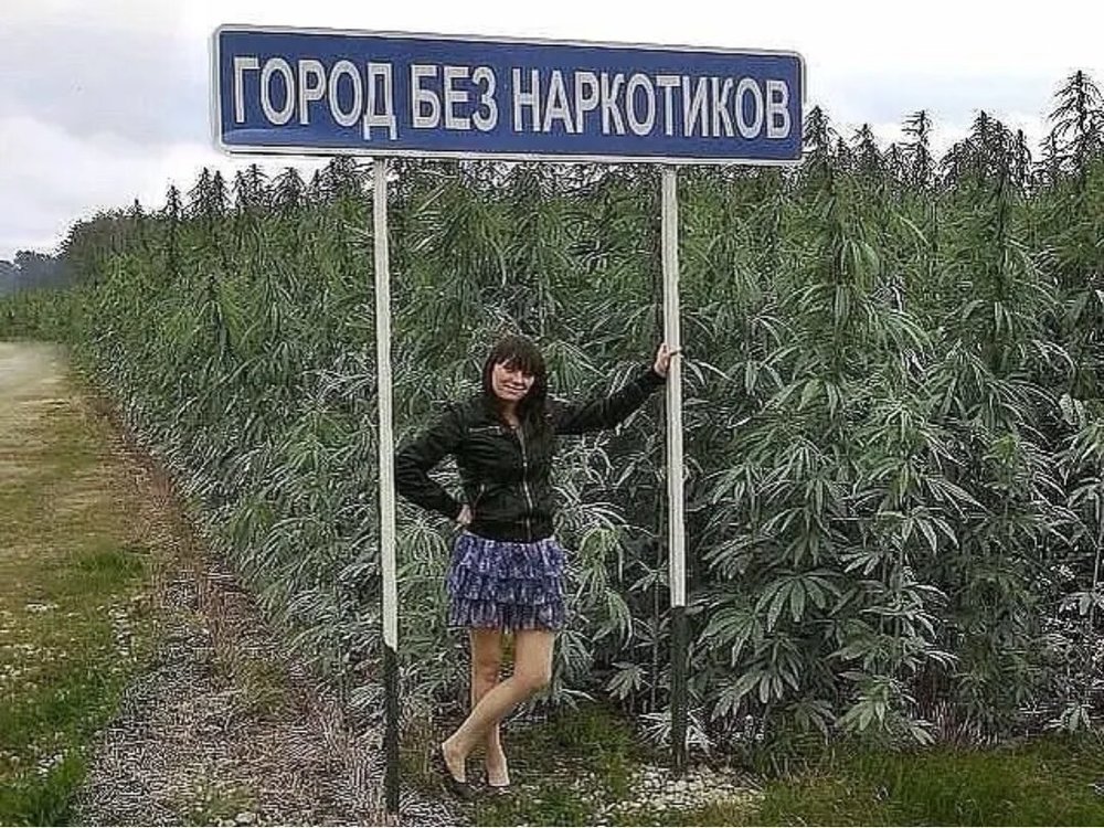 Антитеребонька фото шутка