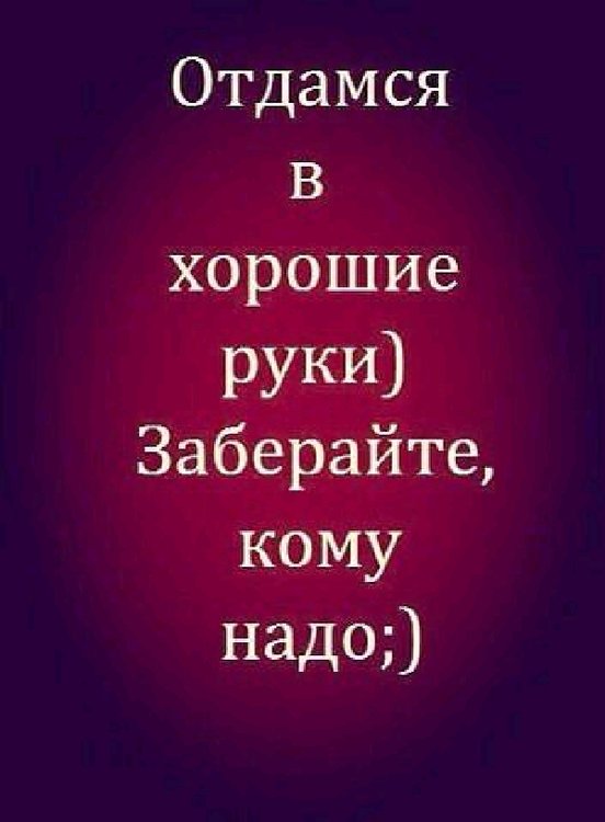 Отдамся в хорошие руки картинки прикольные