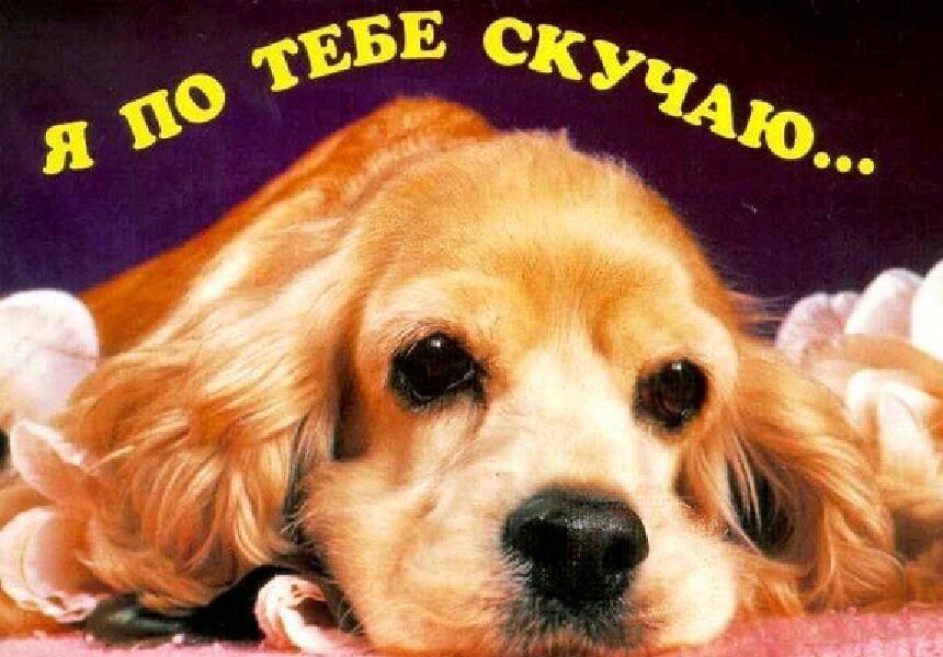 Не скучай мой друг. Соскучилась картинки прикольные. Открытки скучаю по тебе. Открытка буду скучать. Не скучай мой друг.