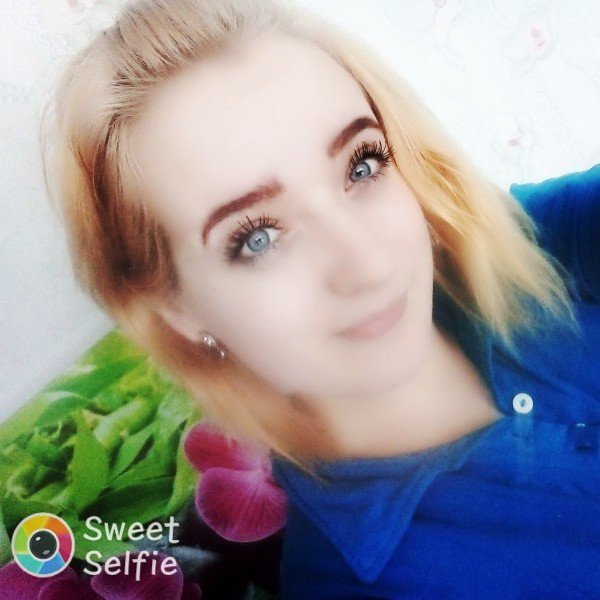 ростов сегежа